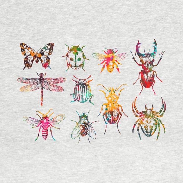 Insect Collection by erzebeth